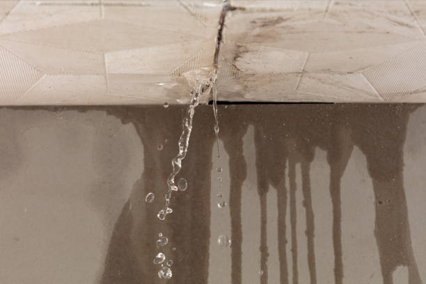 Professional Burst Pipe Cleanup technician working in Stacyville, ME